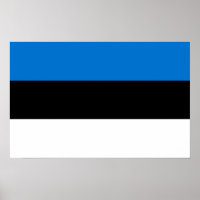 Ingelijste print met Vlag van Estland