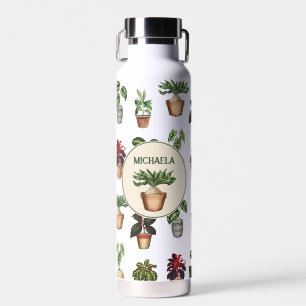 Ingepotte Planten Terracotta Pots Naam Waterfles