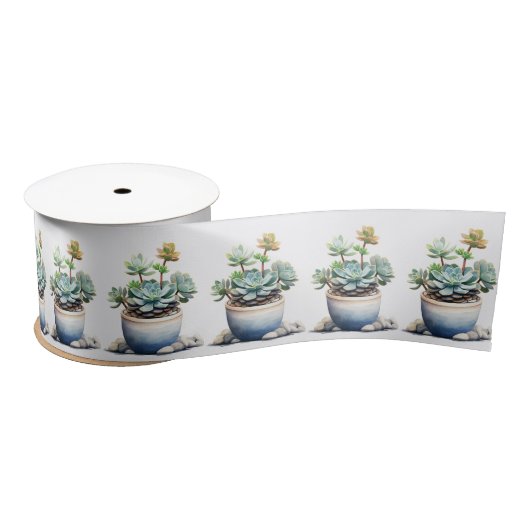 Ingepotte succulente Planten Lint (Spoel)