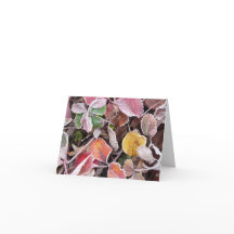 Ingevroren aardbeien