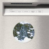 Ingevroren op tijd... magneet (Insitu (Vaatwasser))