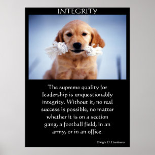 INGRITY Golden Retriever pupil met een wit touw Poster