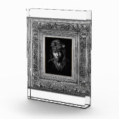 Inheems Amerikaans. Fotoblokken (Rechts)