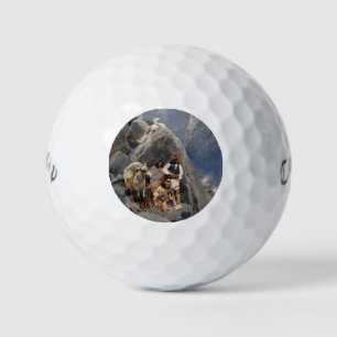 Inheemse Amerikaanse Iconen: Apache Krijgers, Amer Golfballen