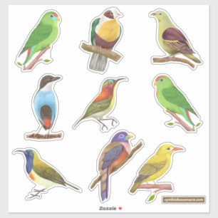 Inheemse/endemische vogels uit de Filipijnen Sticker