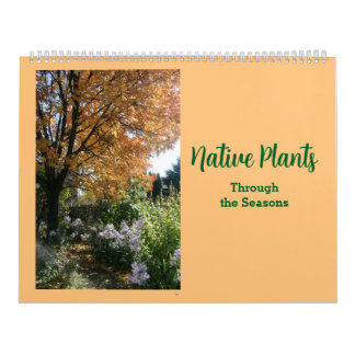 Inheemse Planten door de seizoenen Kalender