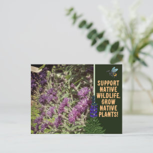 Inheemse Planten Kweken, Bos Wilde Bloemen Ironwee Briefkaart