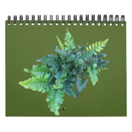 Inheemse Planten - Pacific northwest Kalender