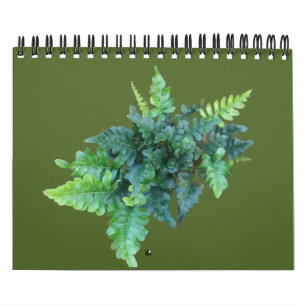 Inheemse Planten - Pacific northwest Kalender