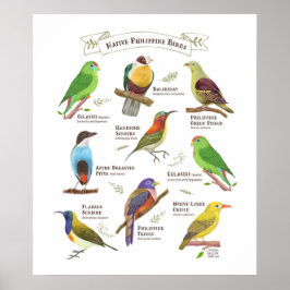 Inheemse vogels op de Filipijnen Poster