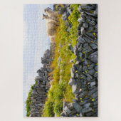 Inisheer Aran Islands Galway Ireland Legpuzzel (Verticaal)