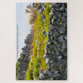 Inisheer Îles d'Aran Galway Irlande. Puzzle (Vertical)