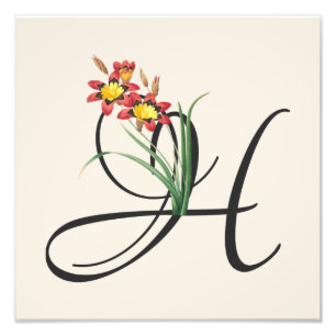 Initiaal H, Harlequin Flower Photo Print Foto Afdruk