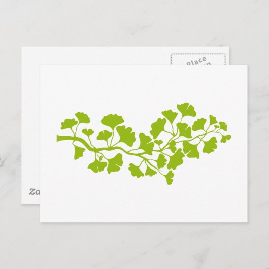 inkgoboom silhouet met groene bladeren briefkaart (Voorkant / Achterkant)