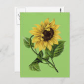  inktvis Dandy Sunflower Briefkaart (Voorkant / Achterkant)