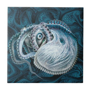inktvis Nautilus Argonaut Tegeltje