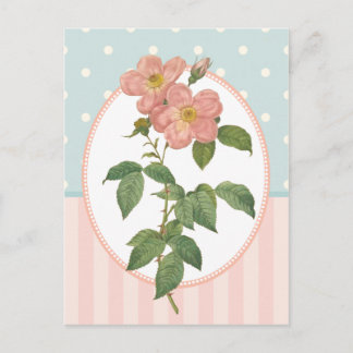  inkuilroze rozen botanische afdrukken briefkaart