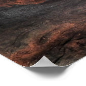 Inland Taipan Poster (Hoek)