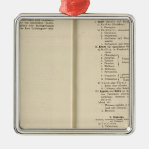 Inleiding 1213 Tafel der Karte XII Metalen Ornament