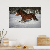 Inname in Stride-Clydesdale op sneeuw Poster (Keuken)