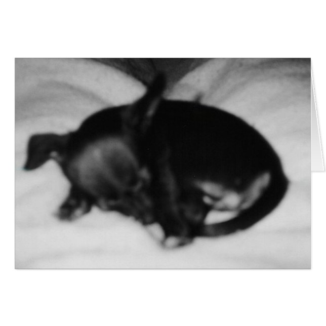 Innocence de sommeil (Devant horizontal)