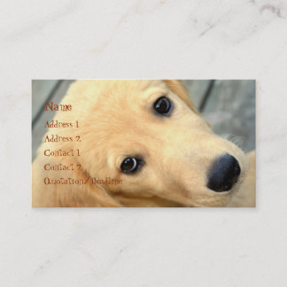 Innocent Abby Carte de visite