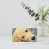 Innocent Abby Carte de visite (Debout devant)