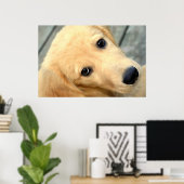 Innocent Abby Poster (Thuiskantoor)