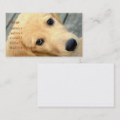 Innocent Abby Visitekaartje (Voorkant / Achterkant)