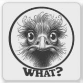 "Innocent Ostrich What" Vinyl Sticker (Voorkant)
