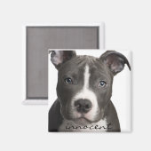Innocent Pitbull Puppy Magnet Magneet (Voorkant / Achterkant)