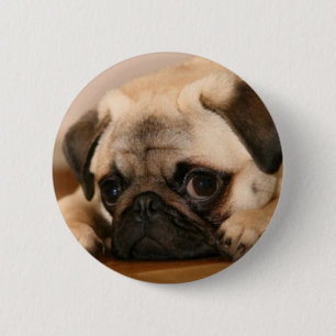 " Innocent " Pug Ronde Button 5,7 Cm