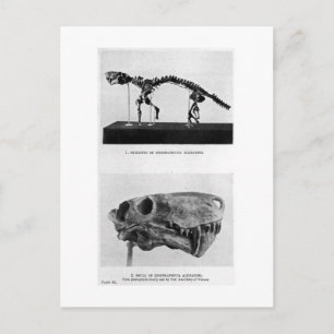 Inostrancevia alexandri art briefkaart