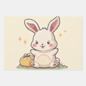 Inpakpapier Flat Sheet Set van 3 Mooie bunny gi (Voorkant 2)