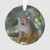 Inquisitie eekhoorn aap ornament (voorkant)