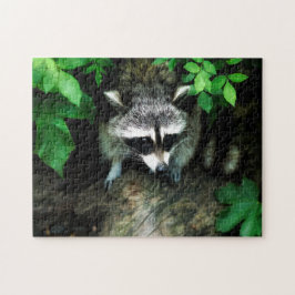 Inquisitief Raccoon in Struik Legpuzzel