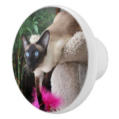 Inquisitief Siamese kat Keramische Knop (Rechts)