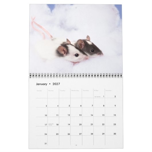 Inquisitieve agenda 2011 kalender (Jan 2027)