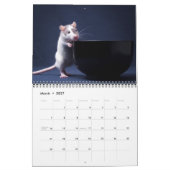 Inquisitieve agenda 2011 kalender (Mar 2027)