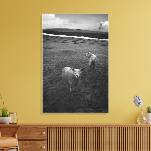 Inquisitieve dartmoor Sheep - Is dat Ewe? Canvas Afdruk (Insitu (Woonkamer))