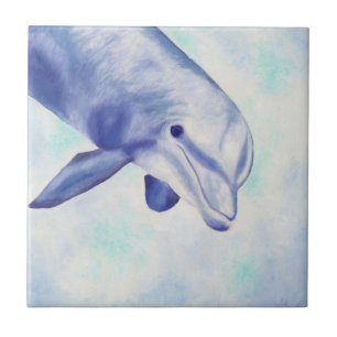 Inquisitieve Dolphin Square Tile Tegeltje