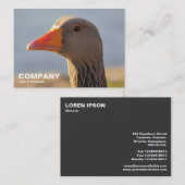 Inquisitieve Greylag Goose Visitekaartje (Voorkant / Achterkant)