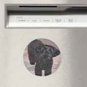 Inquisitieve Yorkie Poo Magneet (Insitu (Vaatwasser))