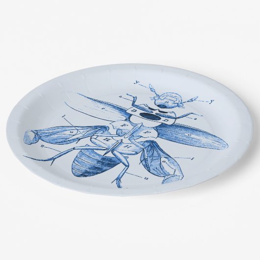 Insect Afbeelding | Beetels | Blauw Papieren Bordje (Gekanteld)