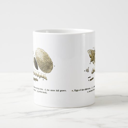  Insect Afbeelding | Zijderupsen | Maand Grote Koffiekop (Voorkant)