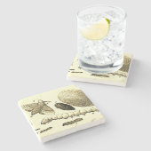 Insect Afbeelding | Zijderupsen | Maand Stenen Onderzetter (Zijkant)