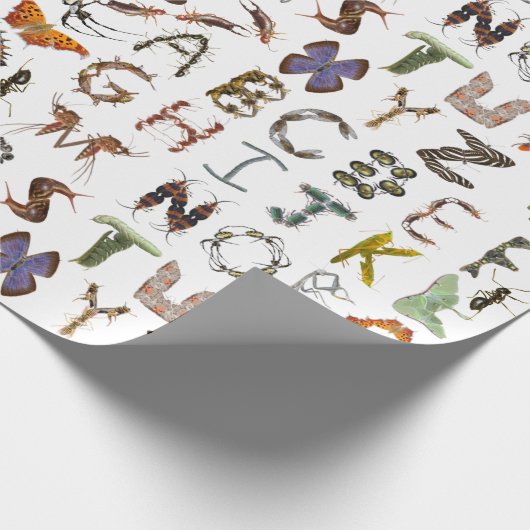 Insect and Bug Alphabet - Creepy Crawlies voor kin Cadeaupapier (Hoek)