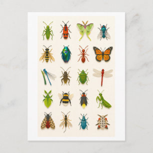 Insect Collage Illustratie Briefkaart
