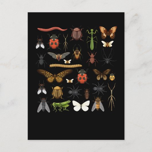 Insect Collectie Natuur Fly Butterfly Moths Briefkaart (Voorkant)