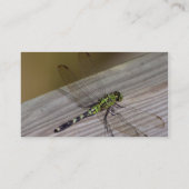 Insect Dragonfly Visitekaartje (Achterkant)